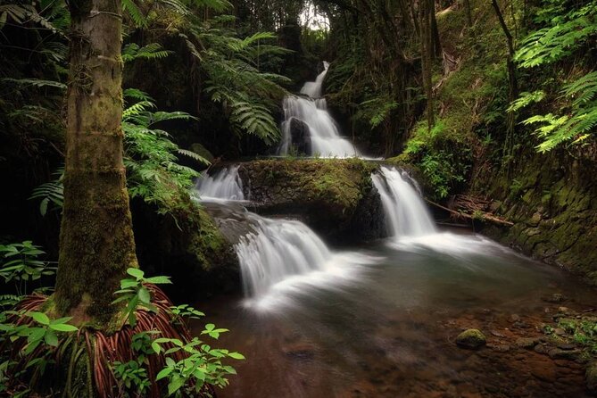 Waipio Valley, Hamakua Coast, Akaka Falls From Kona  - Big Island of Hawaii - Visitor Feedback