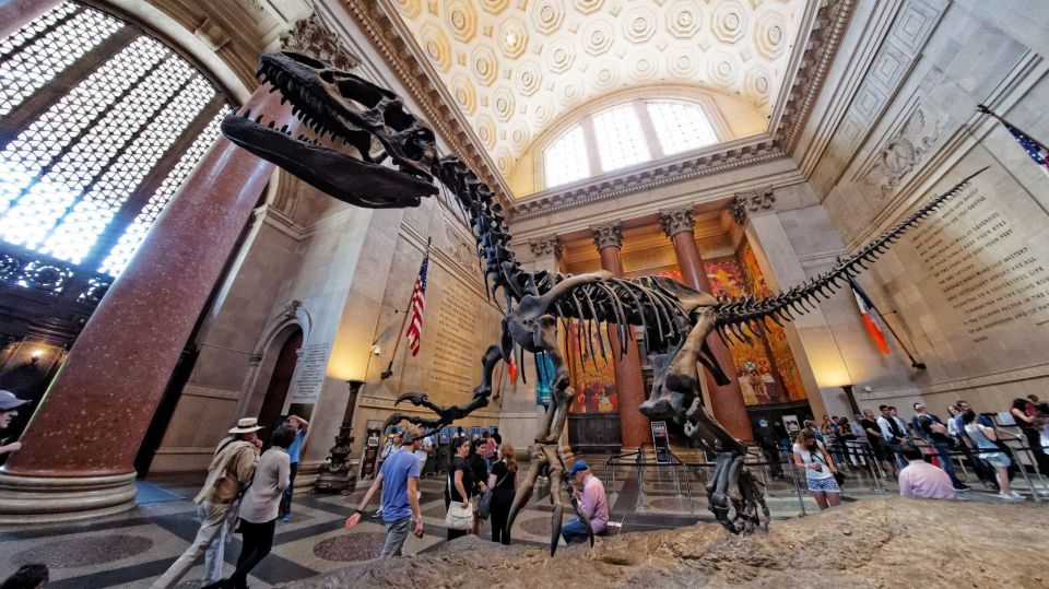 Washington DC: Museum of Natural History Private Guided Tour - Pricing and Group Size