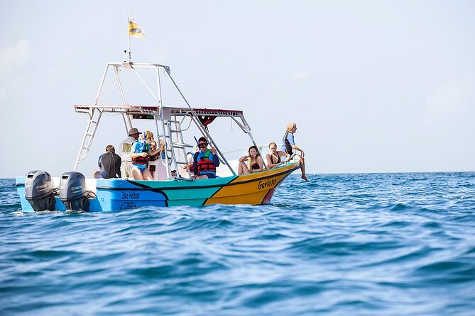 Whale Shark and Snorkeling Adventure From Isla Holbox - Final Words