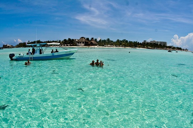 Whale Shark Tour From Cancun, Playa Del Carmen, Tulum and Riviera Maya - Seasonal Availability