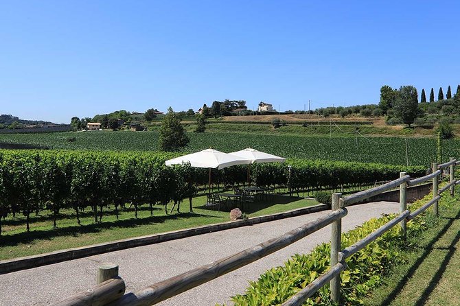 Wine and Food Tasting in the Vineyards in Lazise - Common questions