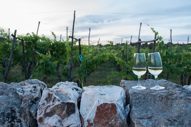 Wine Ostuni, Tour of an Apulian Winery With Traditional Lunch or Aperitivo - Final Words