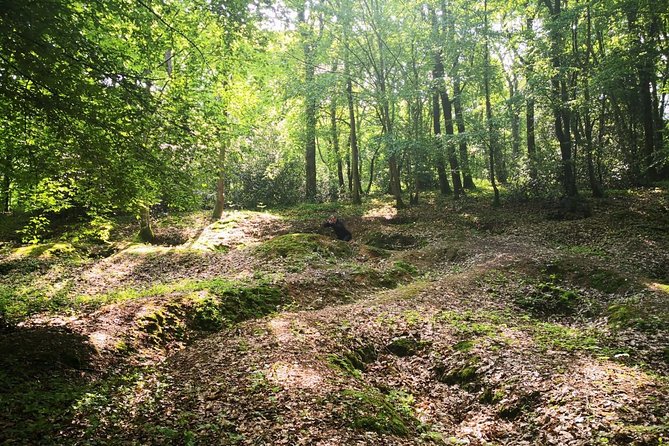 WW1 Belleau Wood and American Monument in Château-Thierry - Day Trip From Paris - Common questions