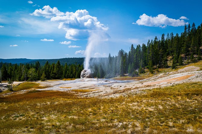 Yellowstone Full Day Private Tour - Customer Reviews