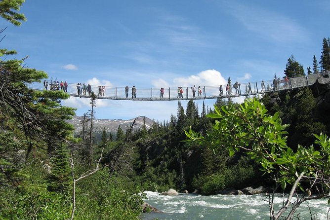 Yukon Suspension Bridge and Summit Tour - Meeting and Pickup Details