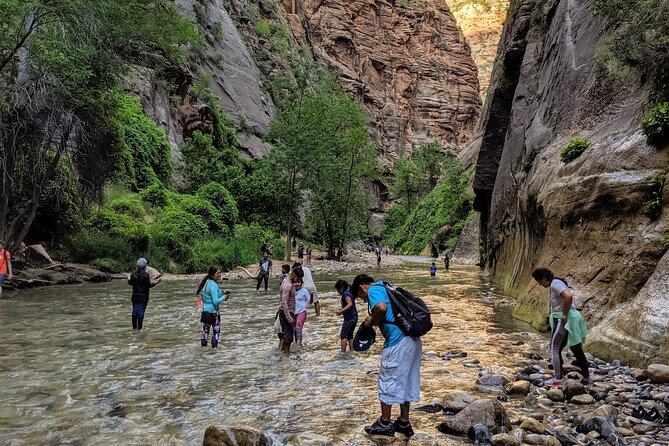 Zion National Park Small Group Tour From Las Vegas - Customer Reviews and Recommendations