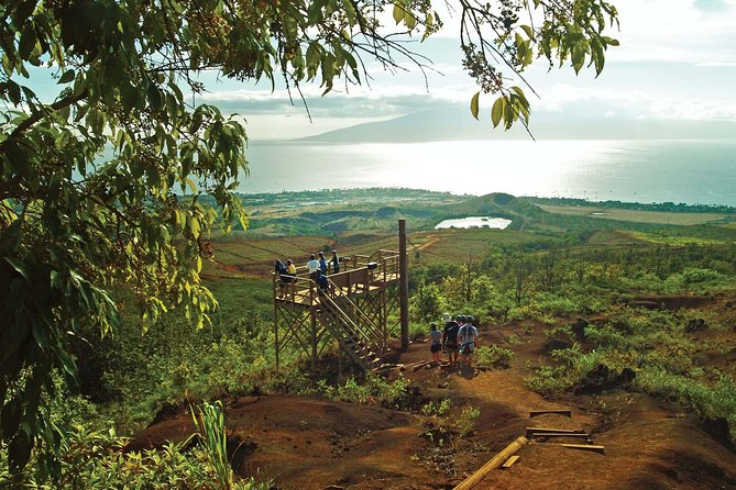 8 Line Kaanapali Zipline Adventure on Maui - Key Points