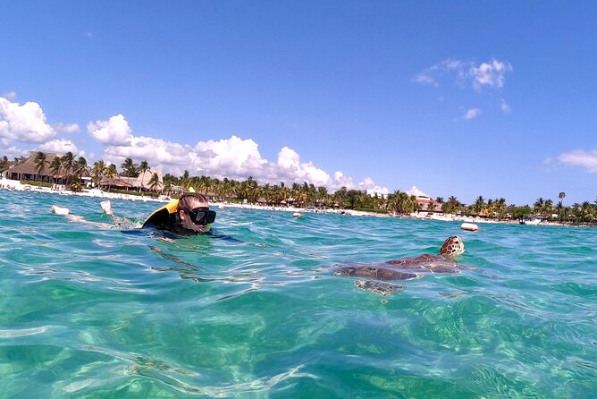 Akumal; Snorkeling and Photos With Turtles - Final Words