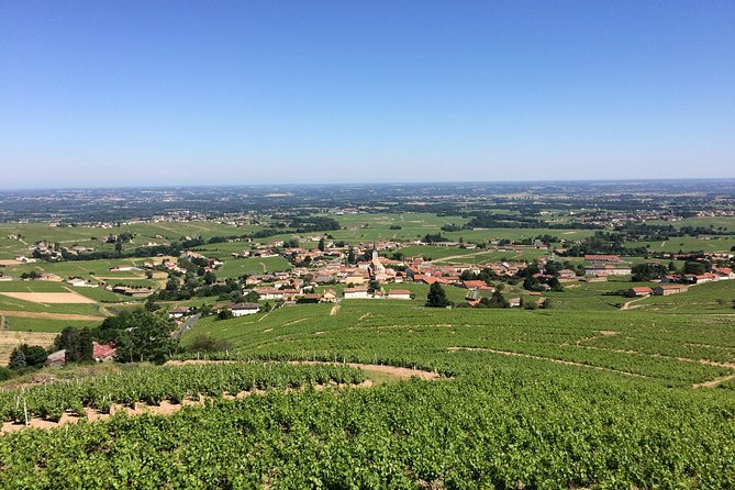 Beaujolais Crus Wines & Castles (9:00 Am - 1:30 Pm) - Small Group Tour From Lyon - Common questions