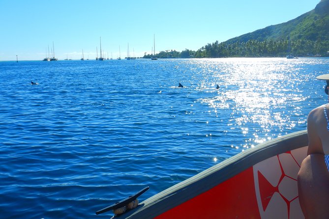 Boat Tour 1/2 Day Excursion in the Lagoon of Moorea - Booking Information