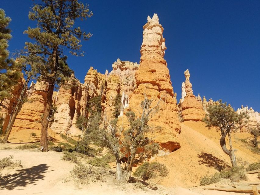 From Las Vegas: Zion and Bryce Canyon Guided Day Tour - Additional Tips