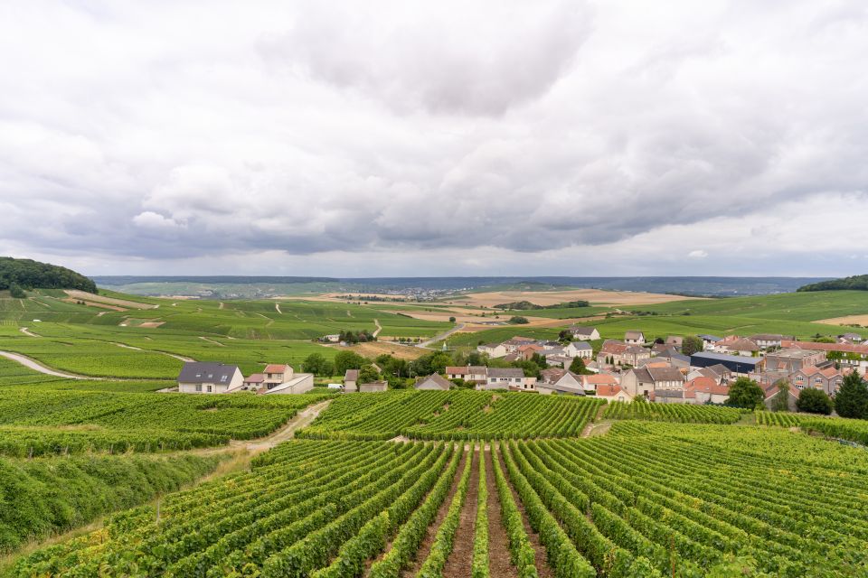 From Paris: Day Trip to Champagne With 8 Tastings & Lunch - Transportation and Logistics