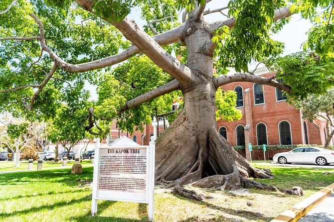 Highlights and Stories of Key West - Small Group Walking Tour - Final Words