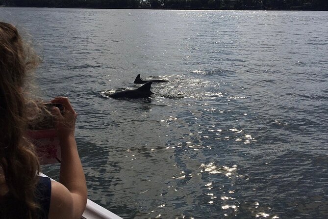 Hilton Head Island Dolphin Boat Cruise - Final Words