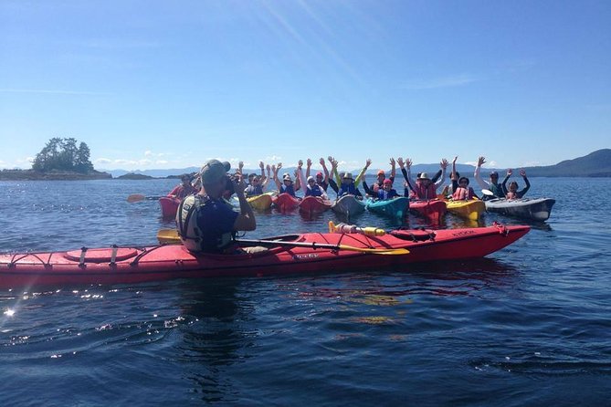 Ketchikan Shore Excursion: Eagle Island Sea Kayaking - Reviews and Recommendations