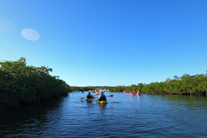 Mangrove Tunnel Kayak Adventure in Key Largo - Tour Pricing and Availability