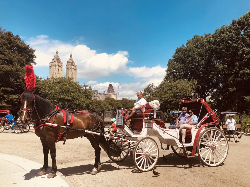 Manhattan: VIP Private Horse Carriage Ride in Central Park - Additional Information