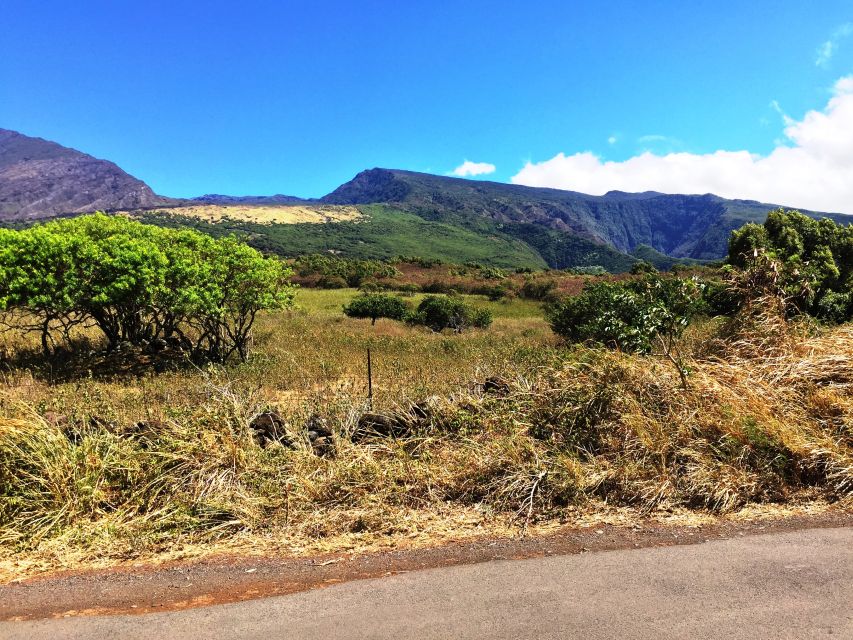 Maui: Private Customizable Road to Hana Tour With Transfer - Final Words