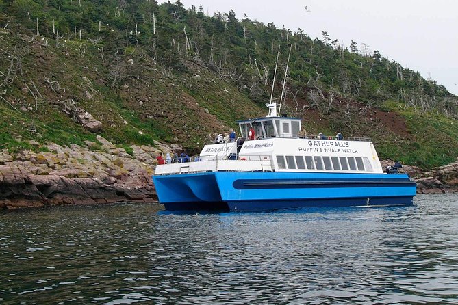 Newfoundland Puffin and Whale Watch Cruise - Final Words