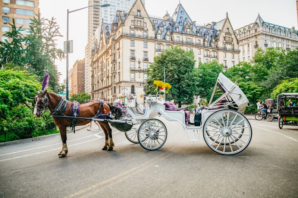 NYC: Guided Central Park Horse Carriage Ride - Common questions