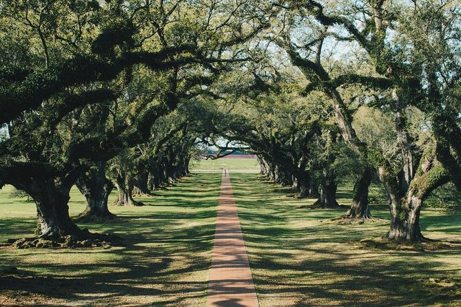 Oak Alley Plantation and Small Airboat Tour From New Orleans - Final Words