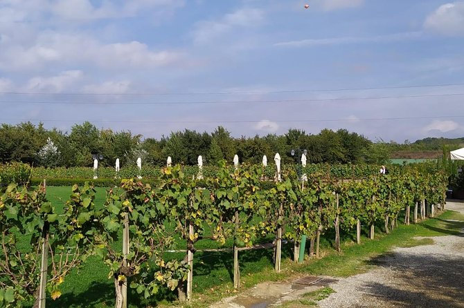 Siena and San Gimignano: Epic Small Group Wine Day Tour From Rome - Tour Cost and Pricing Structure