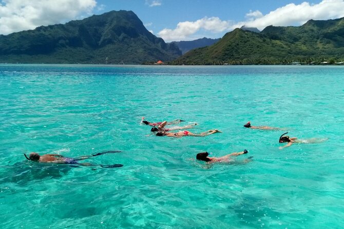 Snorkeling Excursion and Encounter With Marine Fauna in Moorea - Common questions