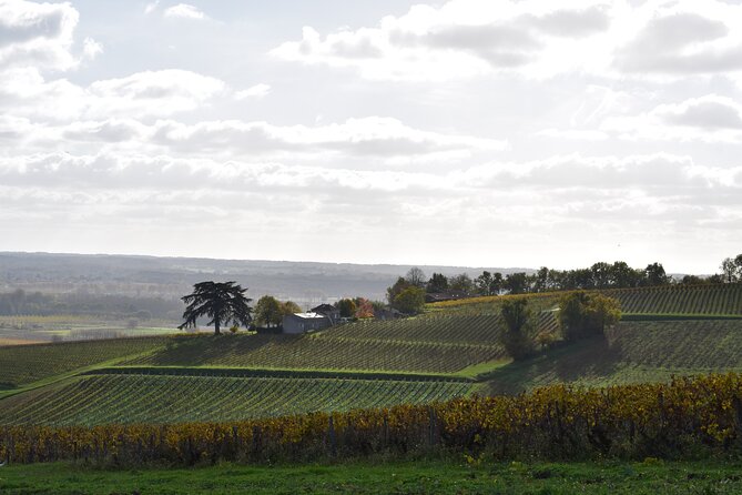 The Great Sauternes Wine Tour - Common questions