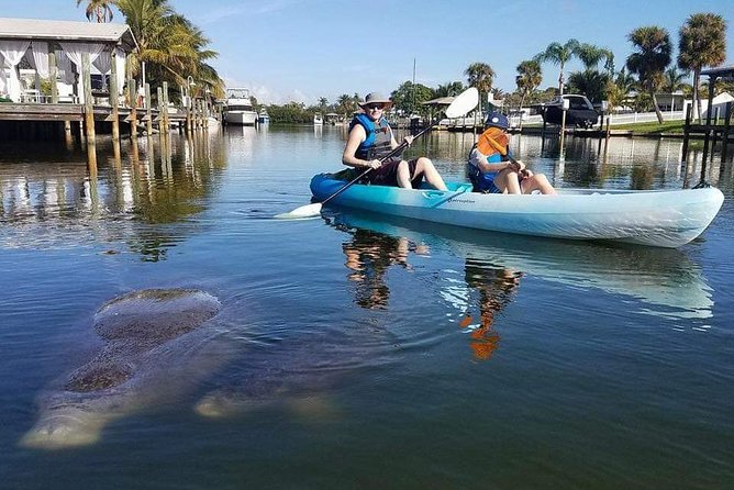 Thousand Island Mangrove Tunnel, Manatee & Dolphin Kayak Tour W/Cocoa Kayaking - Final Words