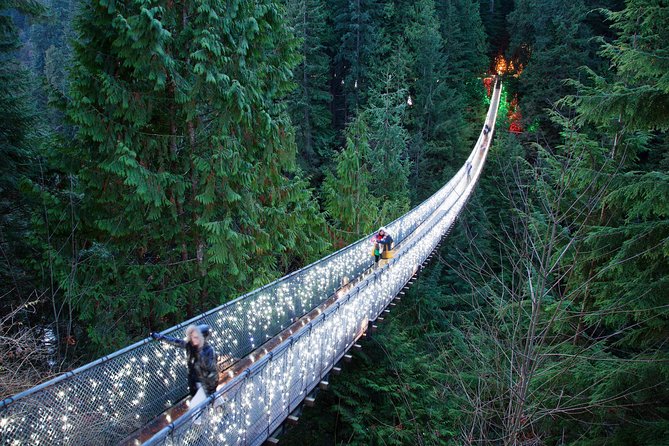 Vancouver City and Capilano Suspension Bridge Canyon Lights Tour - Customer Reviews and Highlights