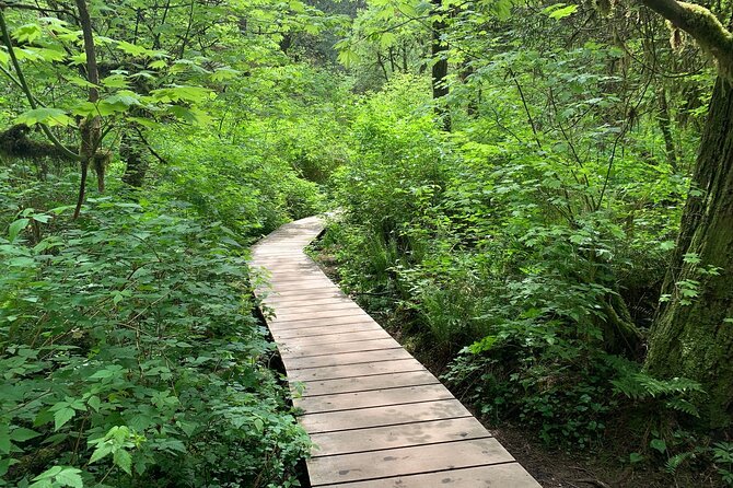 Vancouver Rainforest Hike With Waterfalls, Suspension Bridge, Old Growth Forest - Meeting and Pickup Details