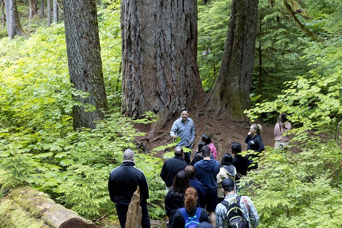 Viator Exclusive Day-Tour From Seattle to Mt. Rainier - Final Words