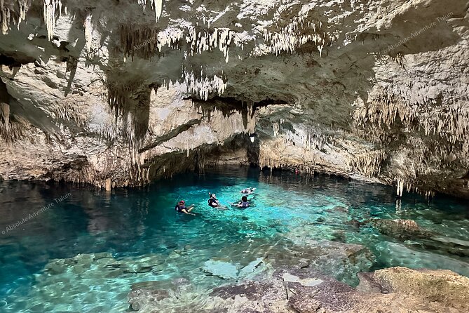 VIP Tulum Private Tour With Snorkeling in Breathtaking Cenote - Directions and Logistics