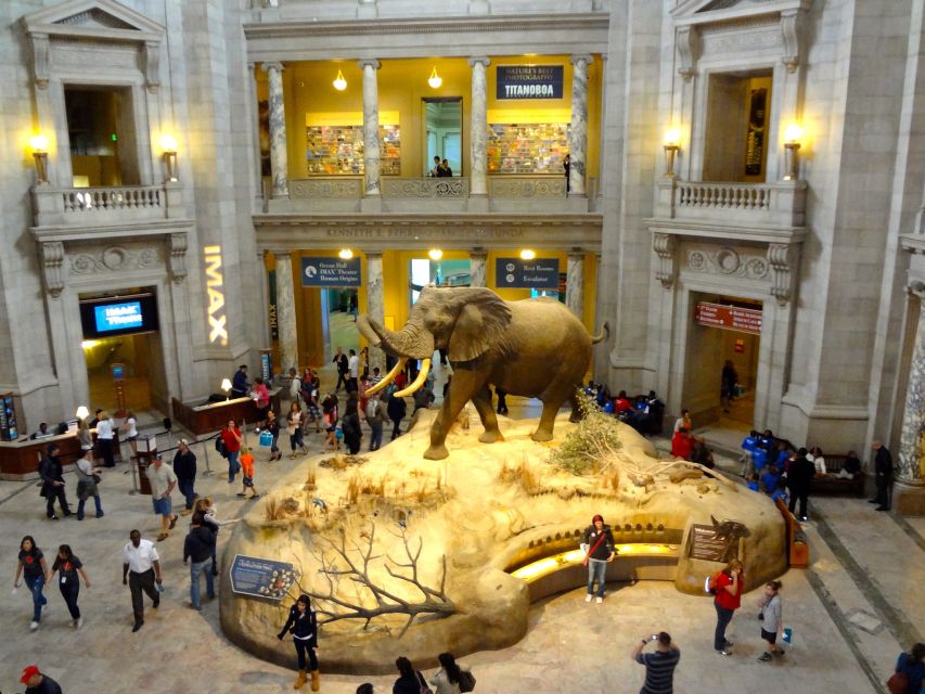 Washington DC: Museum of Natural History Private Guided Tour - Common questions