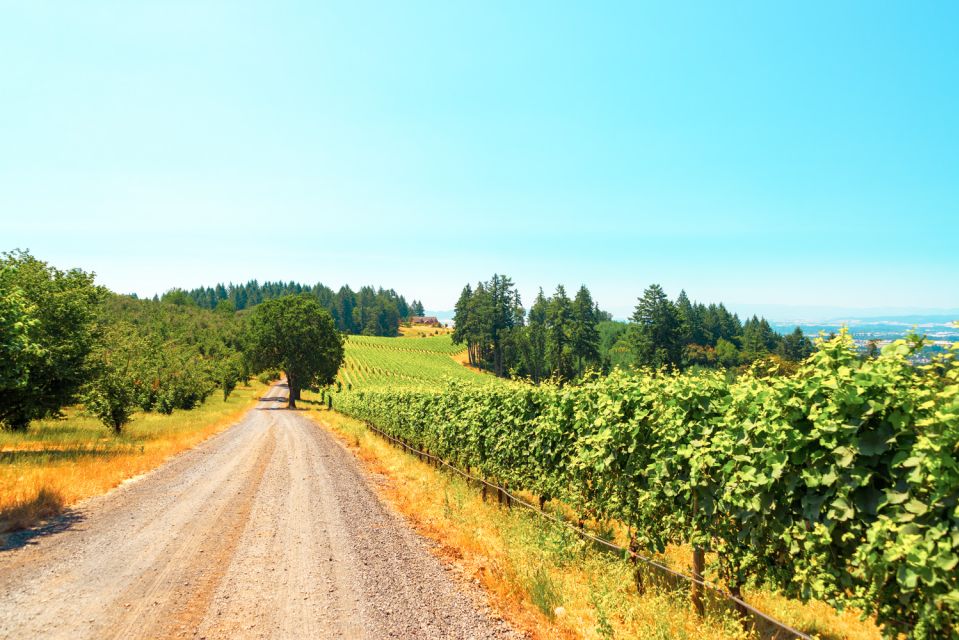 Willamette Valley Wine Tour (Tasting Fees Included) - Final Words