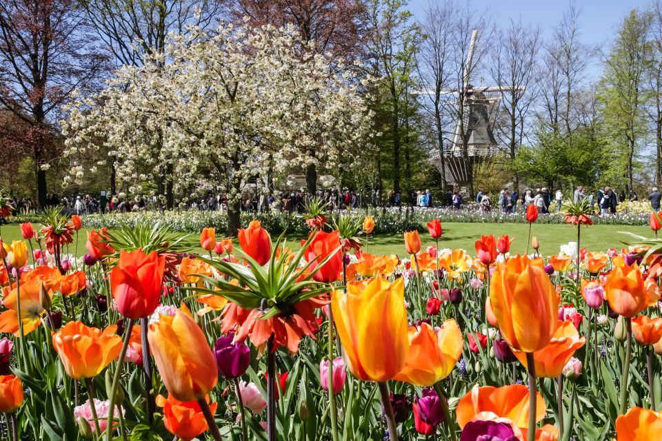 From Amsterdam: Keukenhof Entry and Roundtrip Shuttle Bus - Final Words