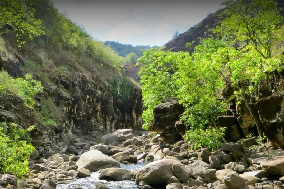 Kauai: Waimea Canyon & Kokeʻe State Park Private Tour - Common questions
