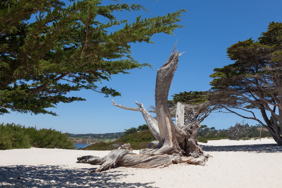 Monterey, Carmel, 17 Mile Dr, Big Sur & Mcway Falls Pvt Tour - Common questions