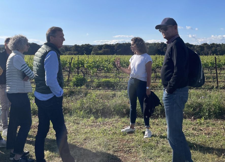 Montpellier: Half-Day Wine Tour With Lunch - Common questions