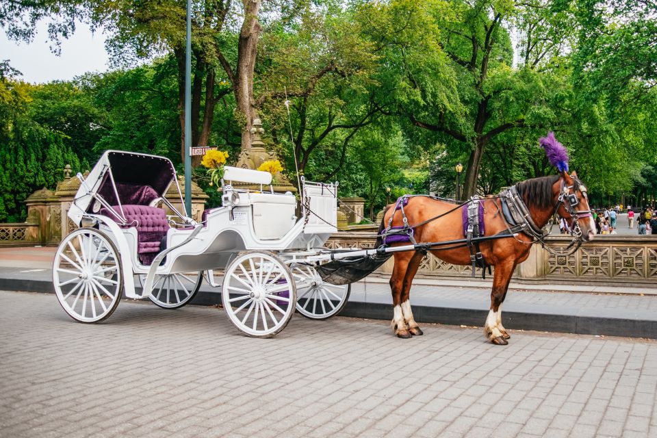 NYC: Guided Central Park Horse Carriage Ride - Final Words