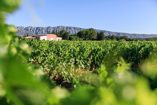 Aix-en-Provence Half-Day Wine Tour Including Tasting, Transfer - Key Points