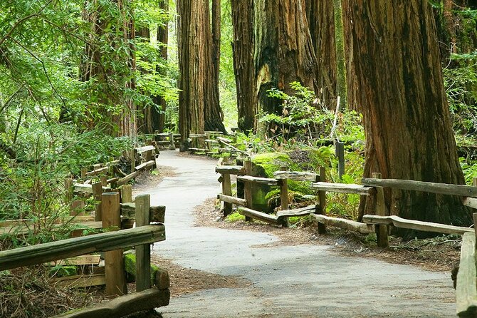 Alcatraz and Muir Woods Express With Golden Gate Bridge Visit - Tour Highlights