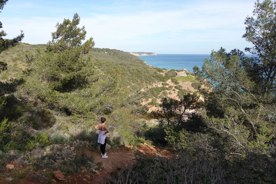 Algarve: Guided WALK in the Natural Park South Coast - Key Points
