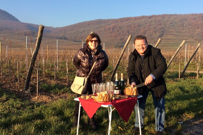 Alsace Private Tailored Tour in a Tesla With a Local - Key Points