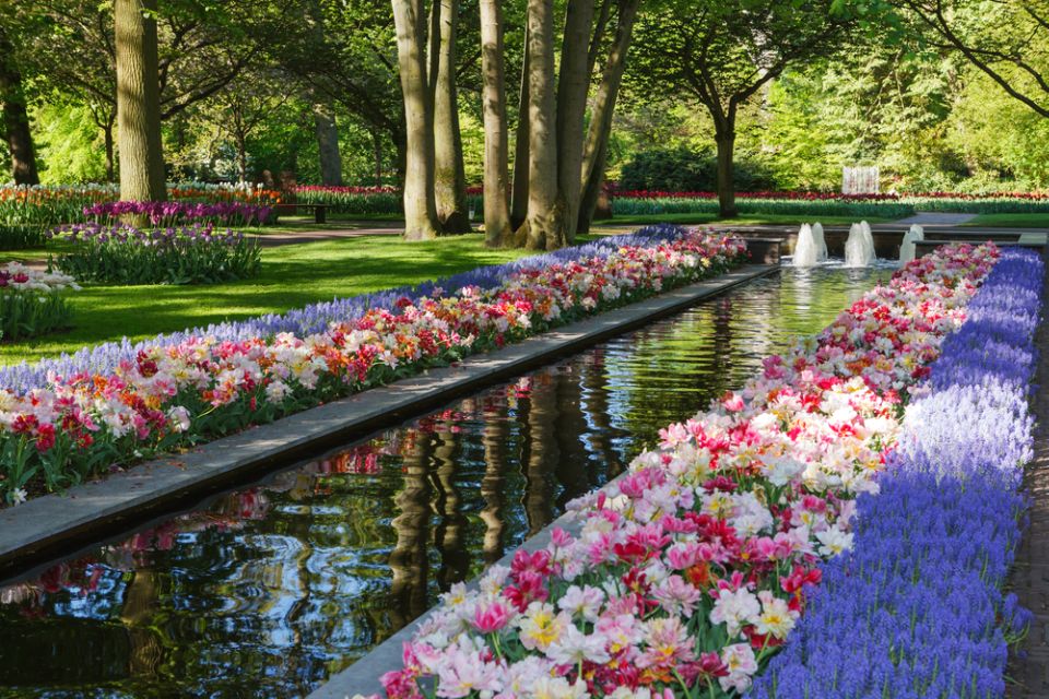 Amsterdam: Keukenhof Gardens Guided Tour Spanish and English - Key Points