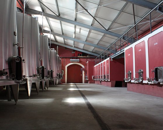 Ardèche Wine Estate Visit  - France - Key Points