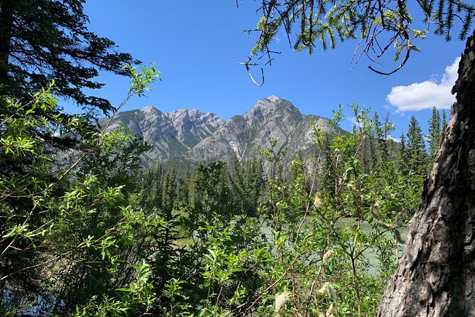 Banff National Park Small-Group Walking Tour - Key Points