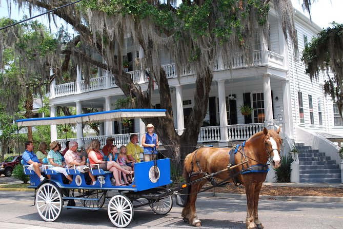 Beaufort Small-Group Historic Horse-Drawn Carriage Tour  - Hilton Head Island - Key Points