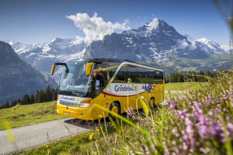 Berner Oberland Pass: 1st Class - Swiss Travel Pass Holder - Key Points