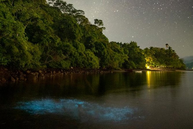 Bioluminescent Kayak Tour - Booking Process and Logistics